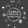 Essential Guide to China Digital Marketing