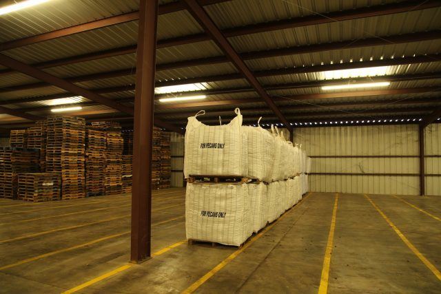 pecans ready to be loaded, Goergia, USA